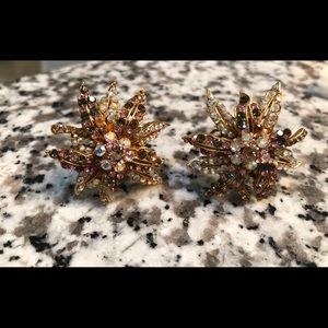 Barerra clip on earrings